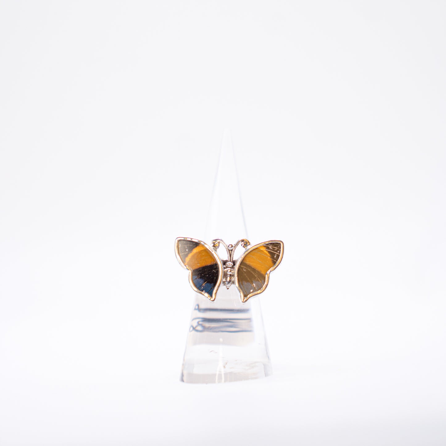 Real Butterfly Wings Ring