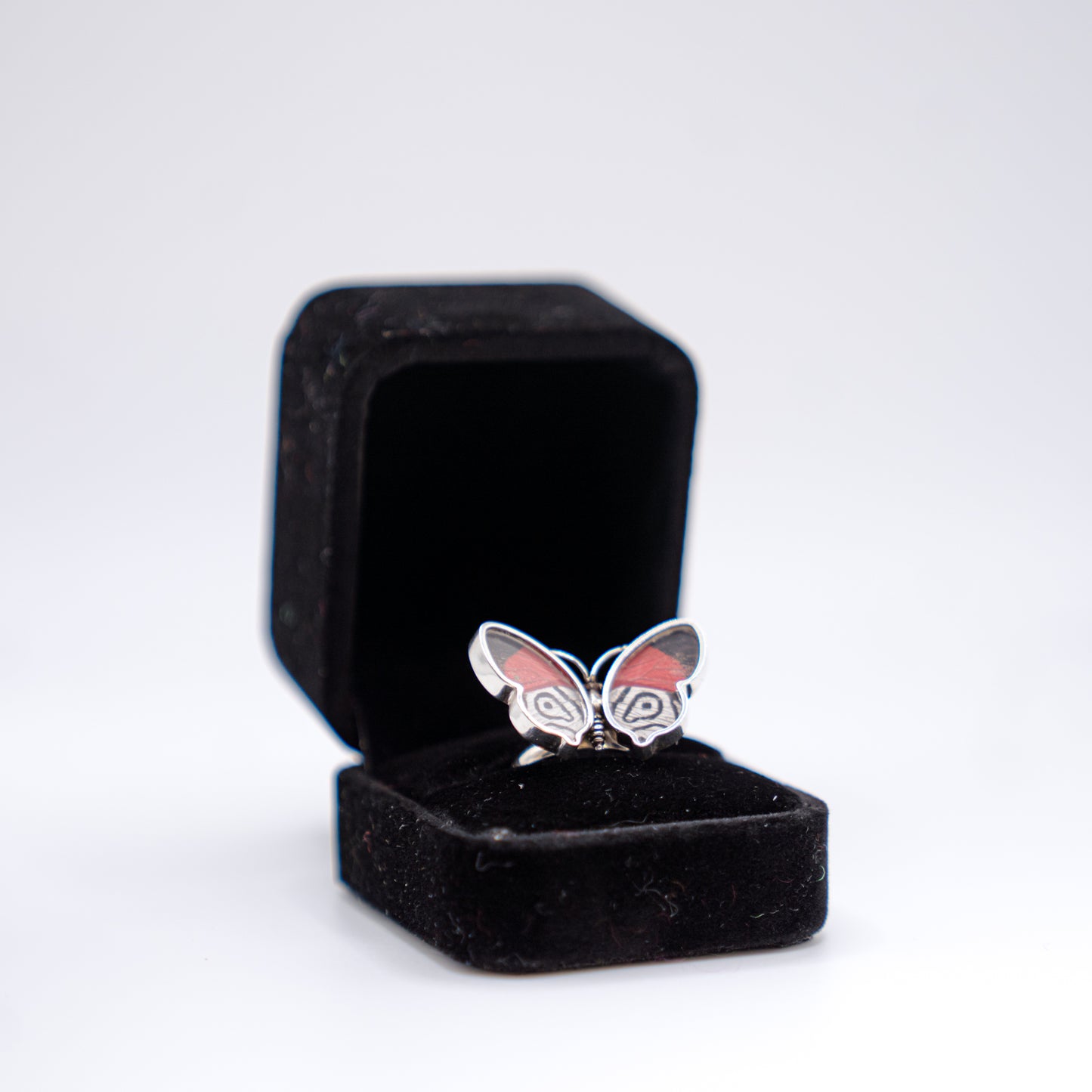 Real Butterfly Wings Ring