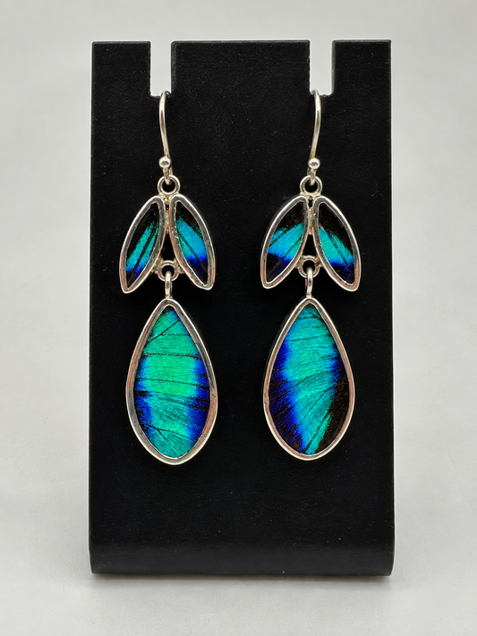 Butterfly Wing & 950 Silver Drop Earrings